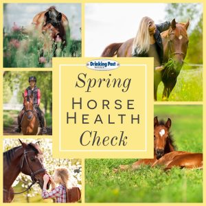 041122 Spring Horse Health Check v3