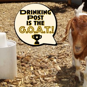 052022 Drinking Post is the GOAT 8