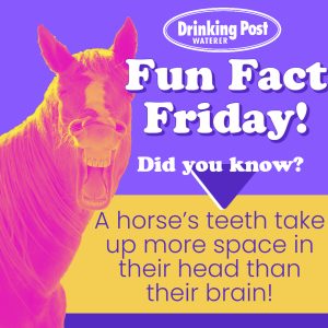 070822 Fun Fact Friday