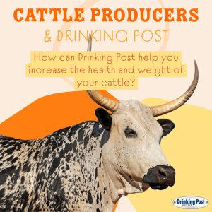 071222 Cattle Producers