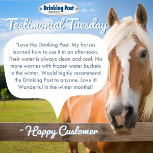 080922 Testimonial Tuesday