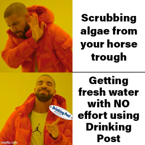 081822 Drake Meme - scrubbing algae 1