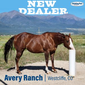 090222 New Dealer Avery Ranch v2