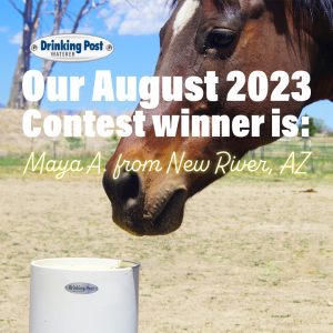 090823 August 2023 Contest Winner