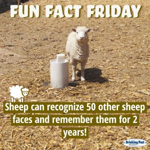 092322 Fun Fact Friday