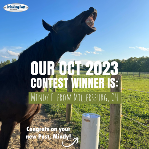 110623 Oct 2023 contest winner