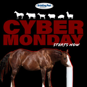 120324 Cyber Monday 2024 - social