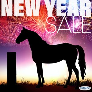 123022 New Years Flash Sale - Insta