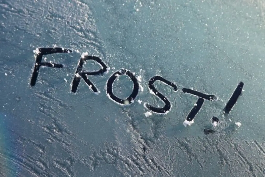 Frost