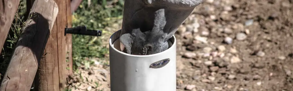 Drinking Post
