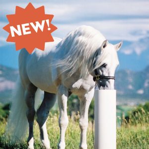 Ultimate Horse Watering Post