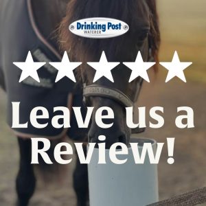 Leave us a Review-1-3