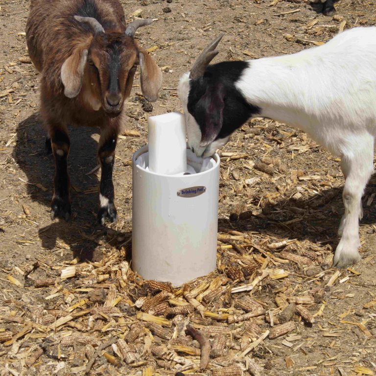 Non Electric Automatic Goat Waterer Varb Drinking Post Automatic Waterer