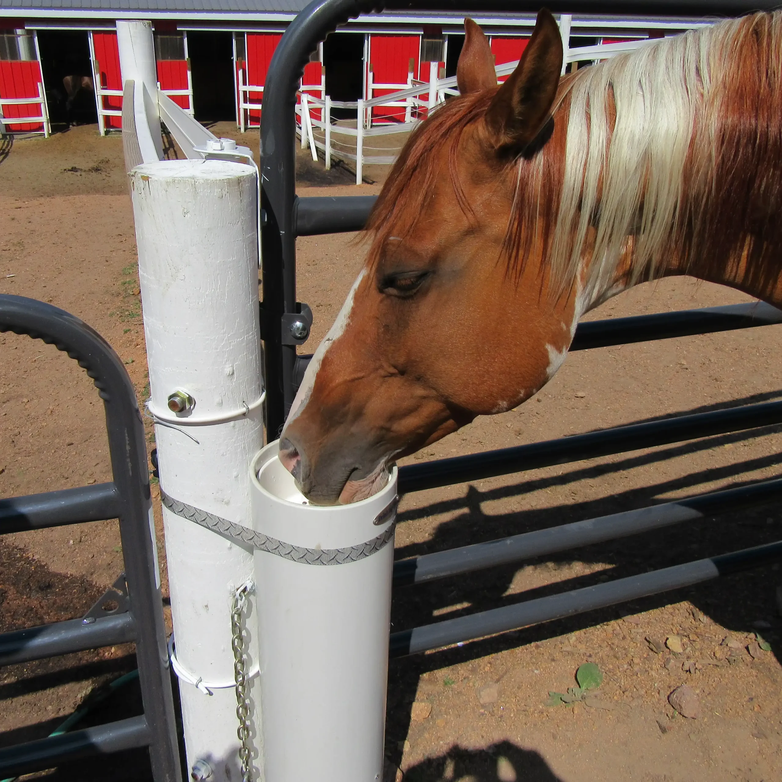Portable Post with Chestnut Horse square