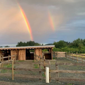 Ryan Little - Drinking Post with Double Rainbow square