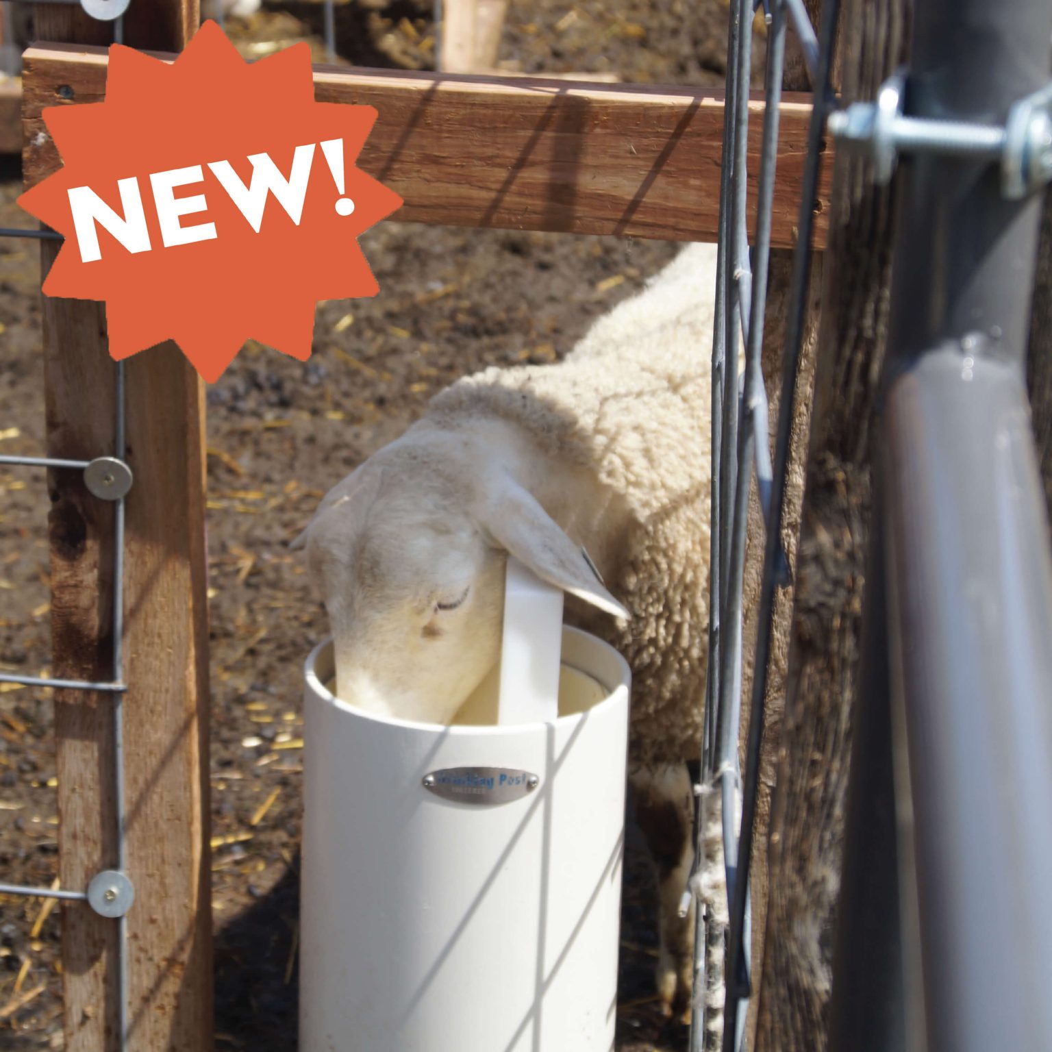 Sheep / Goat Automatic Waterer (Ultimate) Drinking Post Automatic Waterer