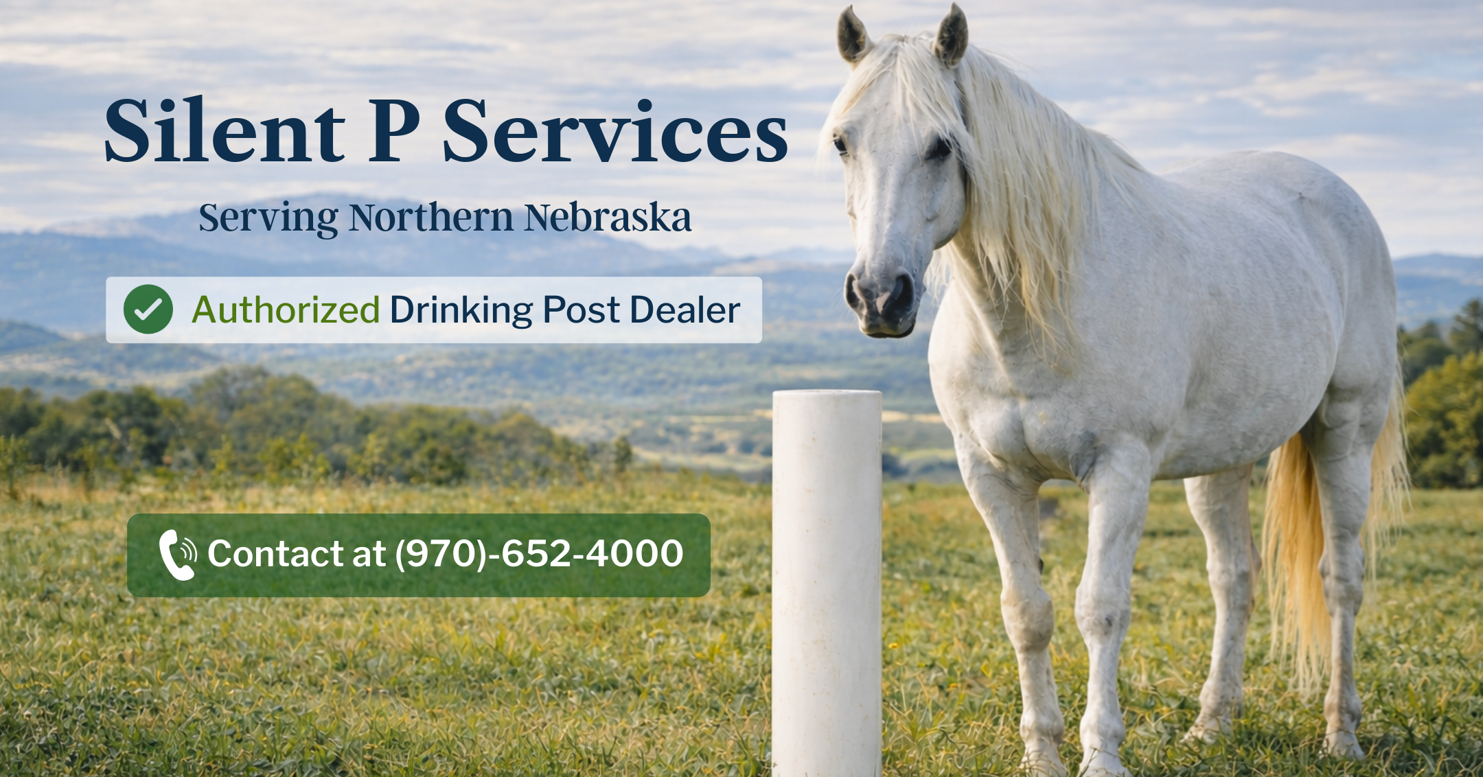 Silent P Services-7 (1)