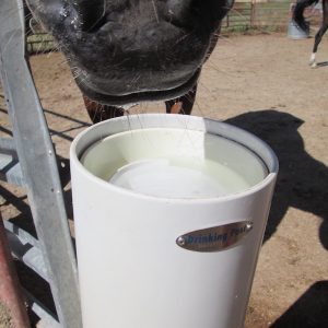 clean_fresh_water_in_frost_free_non_electric_automatic_horse_waterer