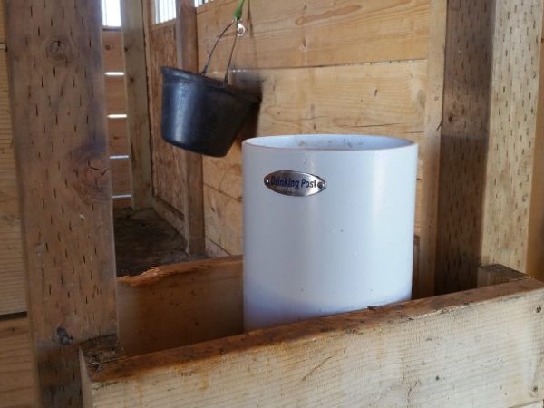 Frost Free Automatic Waterer Photo Galleries - Drinking Post Automatic ...