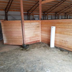 frost free automatic waterer installed in horse stall