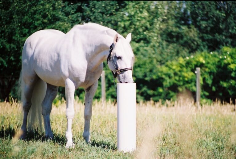 If clean water is your top priority consider Drinking Post