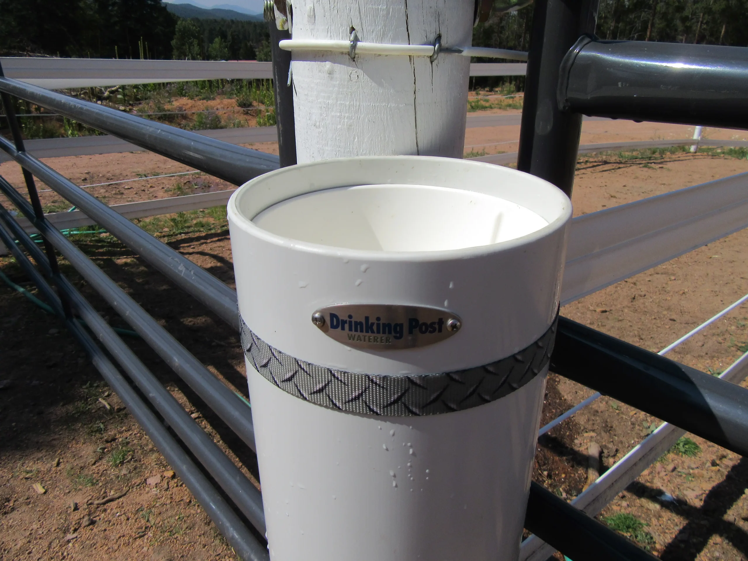 Drinking Post Automatic Waterer At The Corner Of A Fence Line
