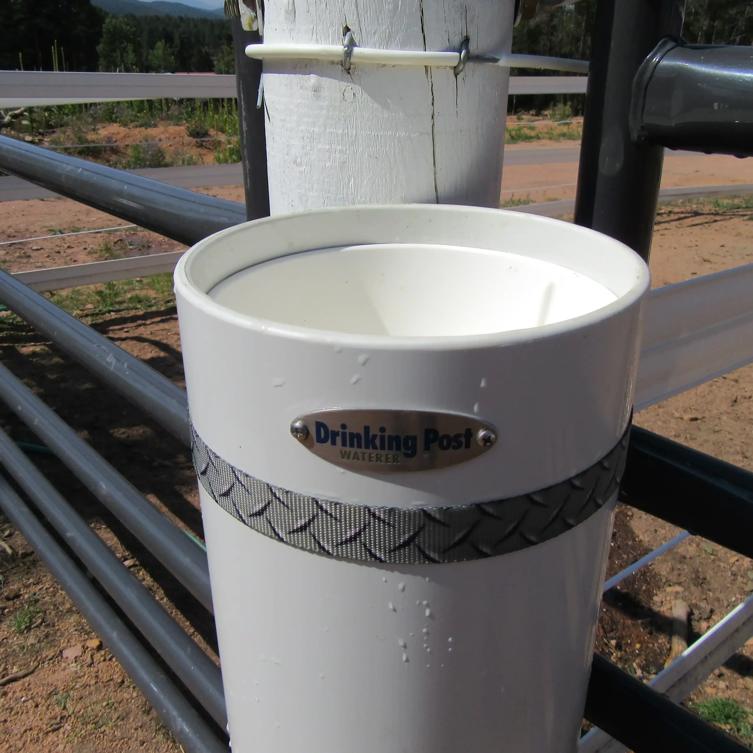 portable waterer rachet strap copy square