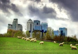 Urban farming