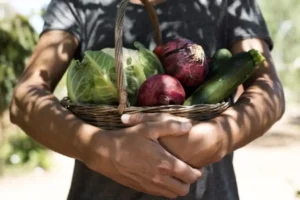 Urban farming